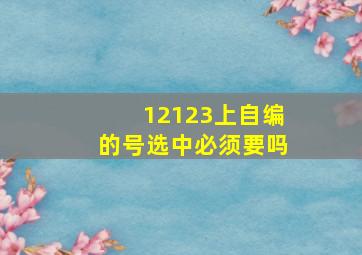 12123上自编的号选中必须要吗