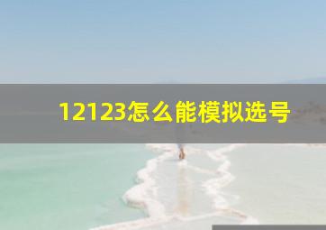 12123怎么能模拟选号