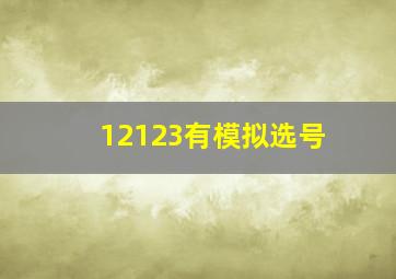 12123有模拟选号