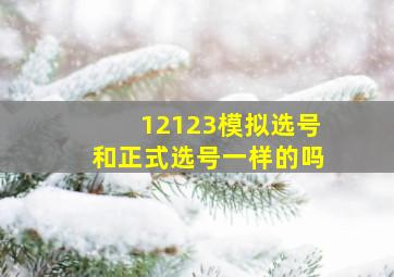 12123模拟选号和正式选号一样的吗