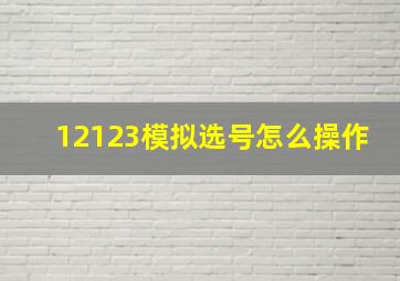 12123模拟选号怎么操作