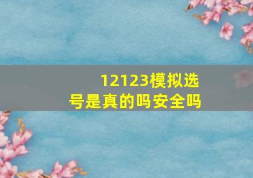 12123模拟选号是真的吗安全吗