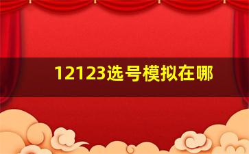 12123选号模拟在哪