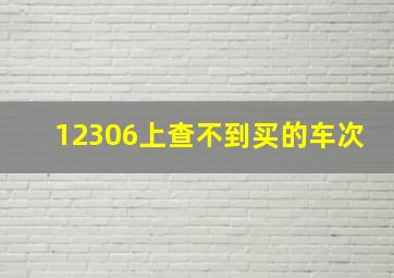 12306上查不到买的车次