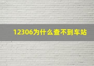 12306为什么查不到车站