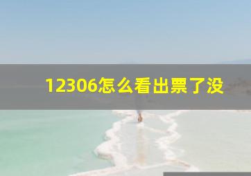 12306怎么看出票了没