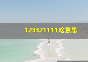 123321111啥意思