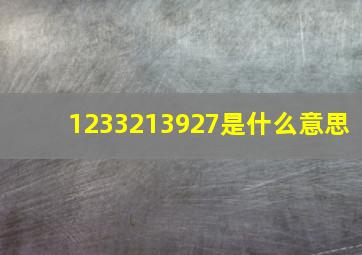 1233213927是什么意思