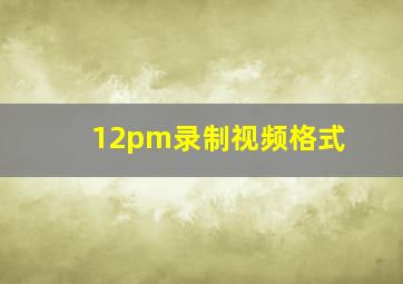 12pm录制视频格式