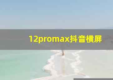 12promax抖音横屏