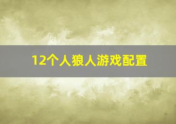 12个人狼人游戏配置