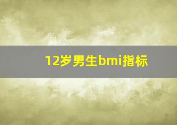 12岁男生bmi指标