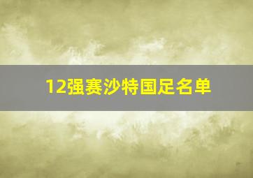 12强赛沙特国足名单