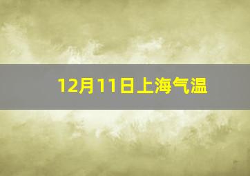 12月11日上海气温