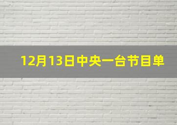 12月13日中央一台节目单