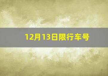 12月13日限行车号