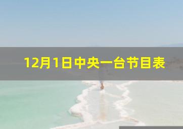 12月1日中央一台节目表