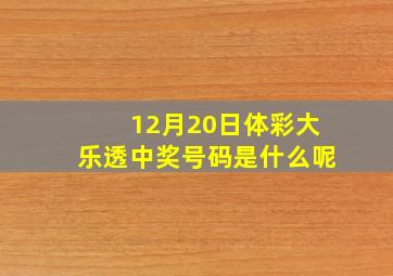 12月20日体彩大乐透中奖号码是什么呢