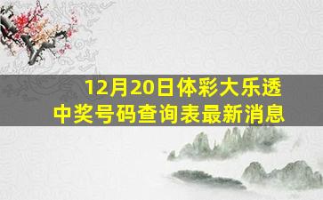 12月20日体彩大乐透中奖号码查询表最新消息