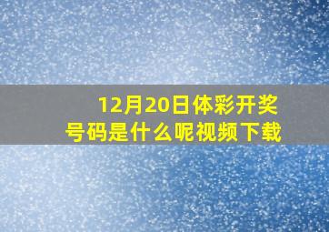 12月20日体彩开奖号码是什么呢视频下载