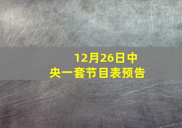 12月26日中央一套节目表预告