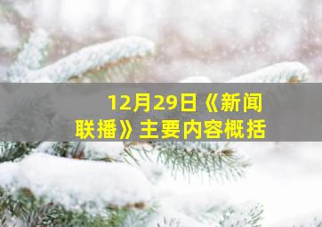 12月29日《新闻联播》主要内容概括