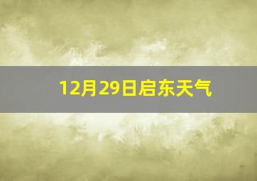 12月29日启东天气