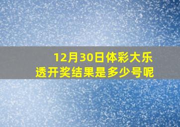 12月30日体彩大乐透开奖结果是多少号呢