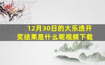 12月30日的大乐透开奖结果是什么呢视频下载