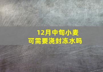 12月中旬小麦可需要浇封冻水吗