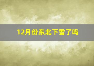 12月份东北下雪了吗