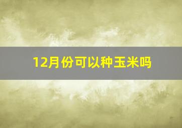 12月份可以种玉米吗