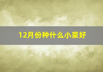 12月份种什么小菜好