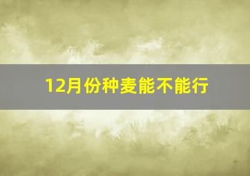 12月份种麦能不能行