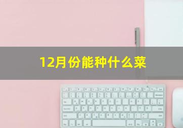 12月份能种什么菜