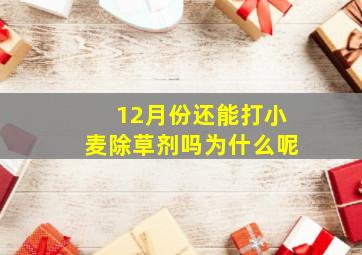 12月份还能打小麦除草剂吗为什么呢