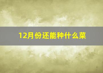 12月份还能种什么菜