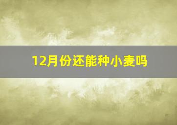 12月份还能种小麦吗