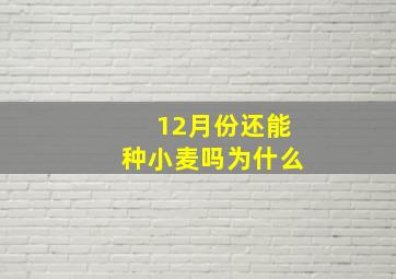 12月份还能种小麦吗为什么