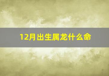 12月出生属龙什么命