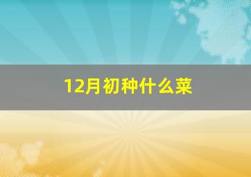 12月初种什么菜