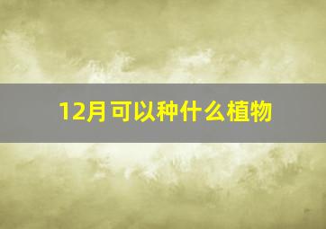 12月可以种什么植物