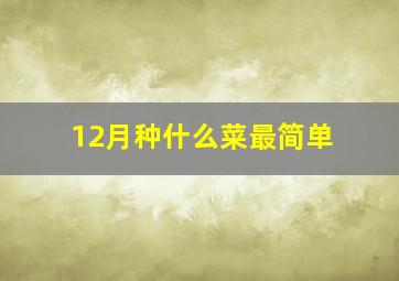 12月种什么菜最简单