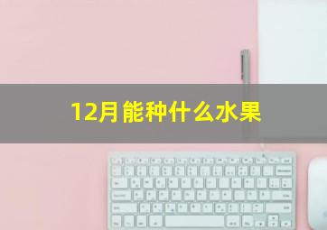 12月能种什么水果