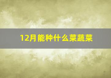 12月能种什么菜蔬菜