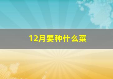 12月要种什么菜