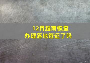 12月越南恢复办理落地签证了吗