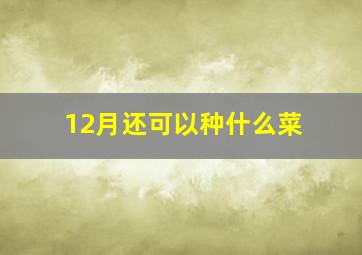 12月还可以种什么菜