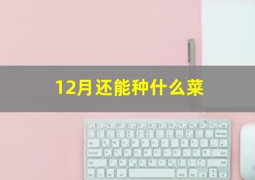 12月还能种什么菜