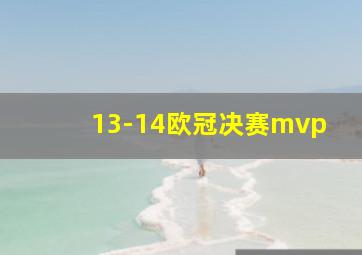 13-14欧冠决赛mvp